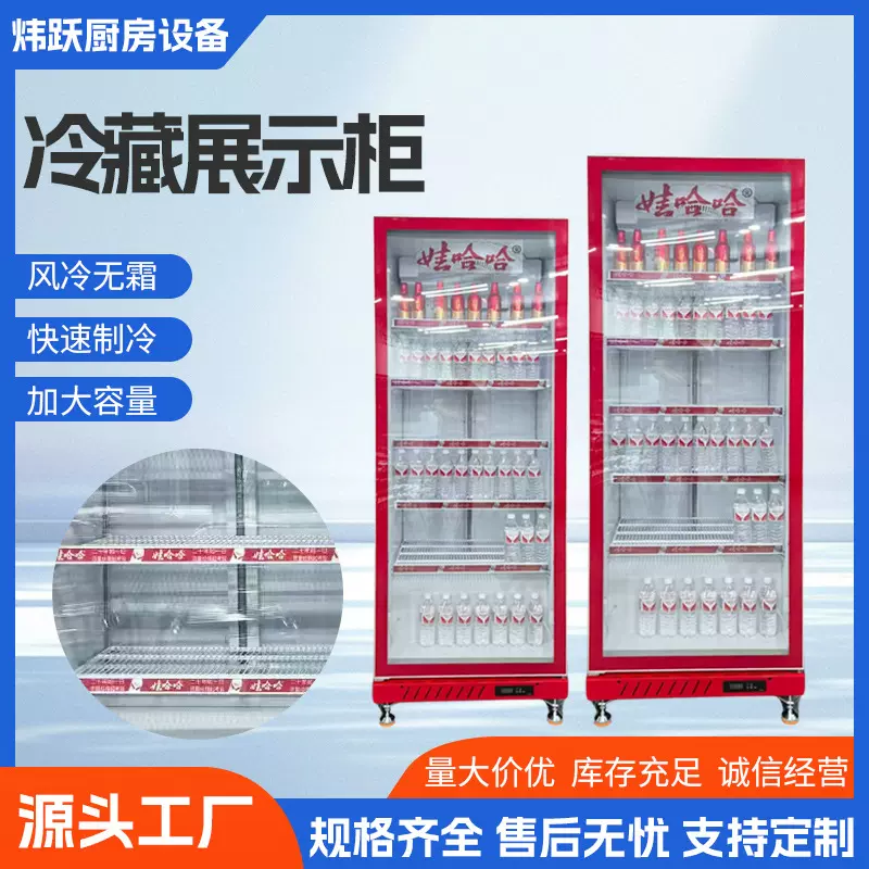 加大风冷工程款冷藏柜 啤酒展示柜 饮料展示柜冷藏立式冰柜 保鲜