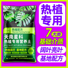 �I�B�������ǿ�����������͸���ֲ���������ܾGֲ���w������