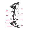 Spot wholesale and predator Raptors composite pulley bow and arrow outdoor archery set can be empty reinforced steel beads dual -use bow