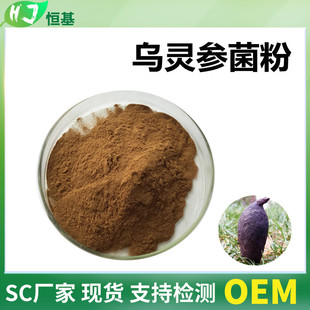 乌灵参菌粉 99% 乌灵参提取 100克/袋 乌灵菌粉 恒基批发 乌灵菌-阿里巴巴