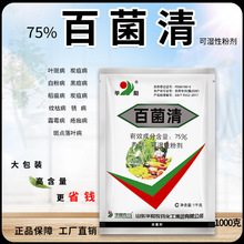 75%پrșr~߲̿Ҳ׷۲˪ùyݲ