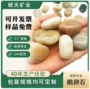 定制抛光园林多色雨花石