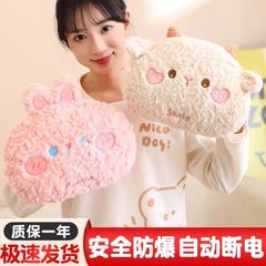 メーカー卸売り新型充電防爆湯たんぽアニメ玩具暖手宝取り外し可能ぬいぐるみ電気暖宝冬