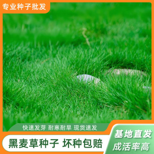 �����ݷN�Ӷ������ͺ���ƺ�����ļ������o�¹������̾G������