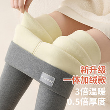加绒加厚保暖裤纯棉羊羔绒棉裤秋冬季女外穿东北特厚大码打底裤