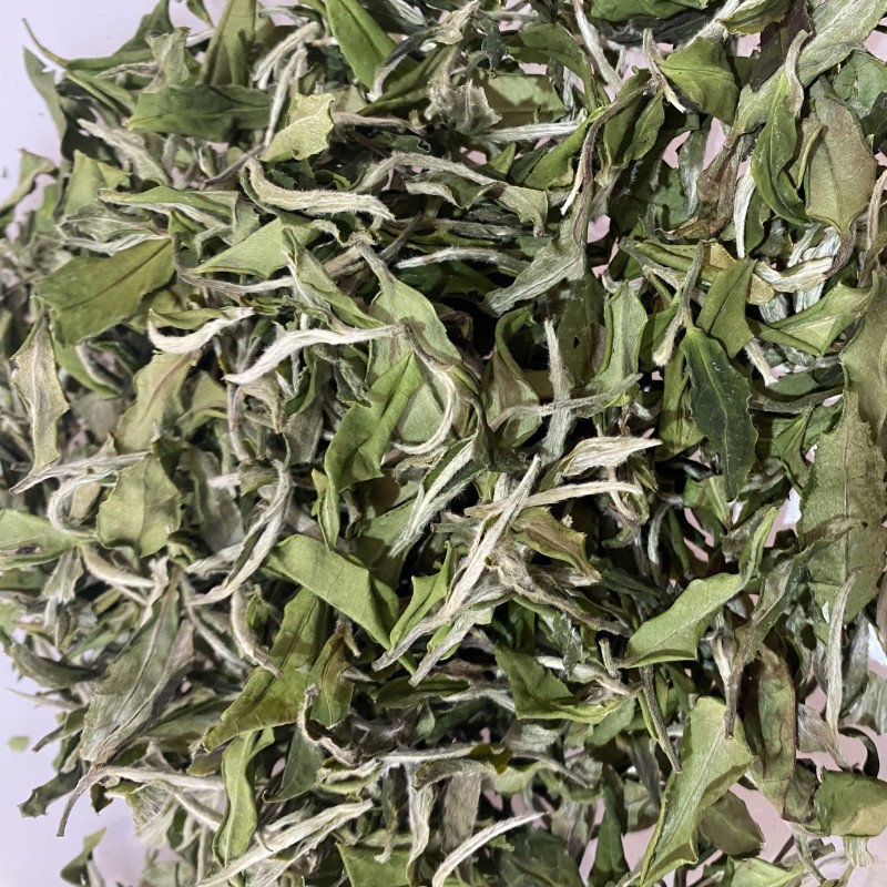 微信图片_202302141613251