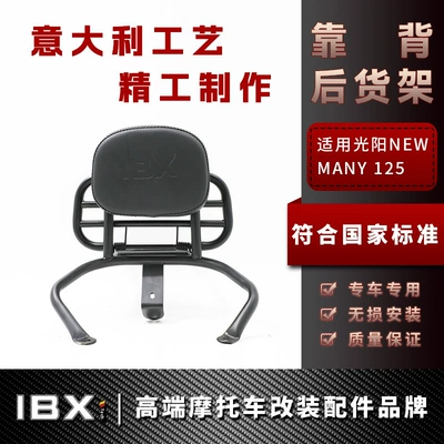 Motorcycle frame Backrest Bar Tail Frame Backrest - black-with-backrest