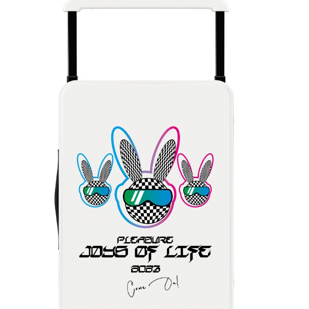 En nombre de la maleta con tirante ancho, embarque, viaje femenino de 20 pulgadas, rueda universal silenciosa de alto valor, caja con ruedas para PC de 24 pulgadas