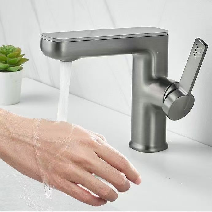 B3-물 도금 건 그레이(디지털 디스플레이 돌고래) 전체 구리