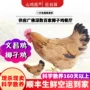 海南生鲜餐厅源头文昌鸡