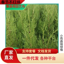 һlؘɰؘؘȰر؈Aɘ،Ĺ