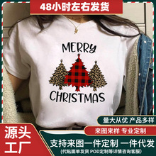 ʥ���ڿ���ʥ����ʥ�����˼�Լ����Ůװ����Բ��������ŮT����