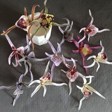 ���滨���l�ָ�֩���m���^ ��c�YƷ���ֶY���Ьñ�l�A�b����l