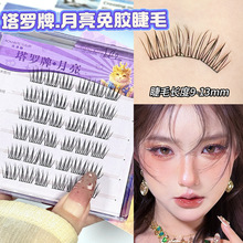 ���������_��ϵ���������z�ٽ�ë��Ȼ������ֶܷ������۽�����Ů