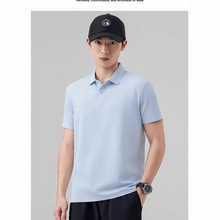 FZKF.6229���A����\���o�ۛ���POLO�����䷭�IT�� �ĺϿ� 2��