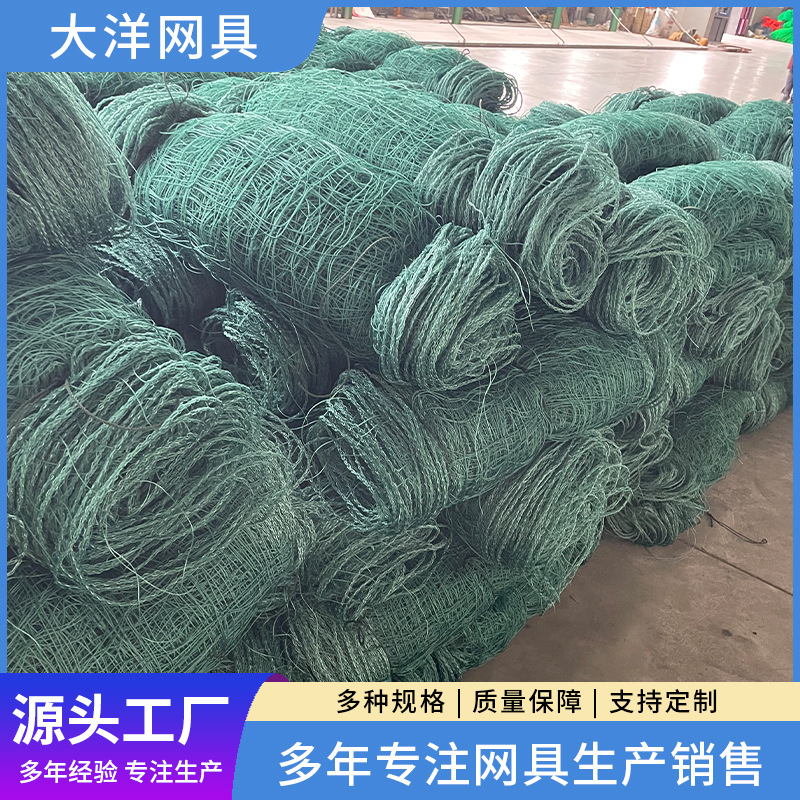 爬藤网 豆角吊瓜山药网黄瓜牵牛花爬藤网 植物爬藤网支架农业用网