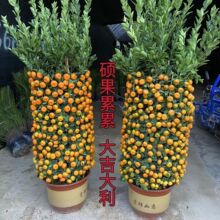 ��ۘ����Ԏ������������Ә�����辰�ļ����҃��̨�ļ��_���Y��