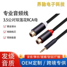3.5mm���D2RCAĸ���wһ�ֶ����C�����l��X������D�Ӿ�2rca