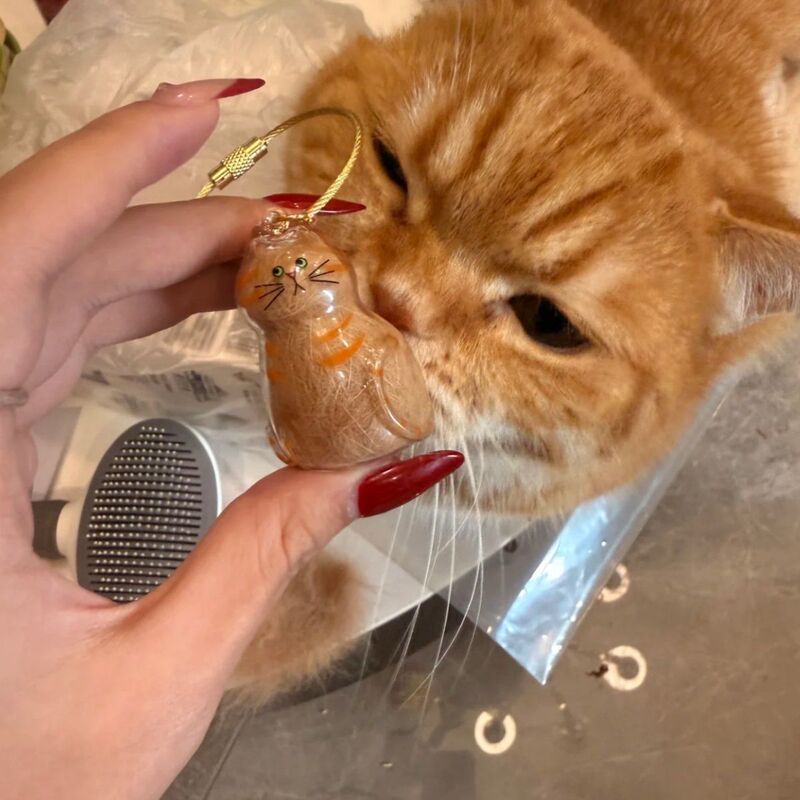 猫の毛の収納ボックス、猫のペンダント、記念キーホルダー、透明ペンダント、猫の毛のコレクションバッグ、カプセルの保管|undefined