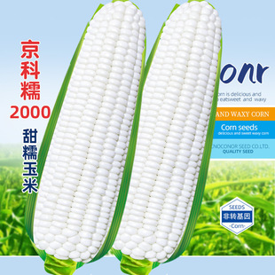 ����Ŵ�fŴ2000Ŵ���׷N�Ӹ߮a���|ճ����ܛŴ�װ���Ŵˮ���N����