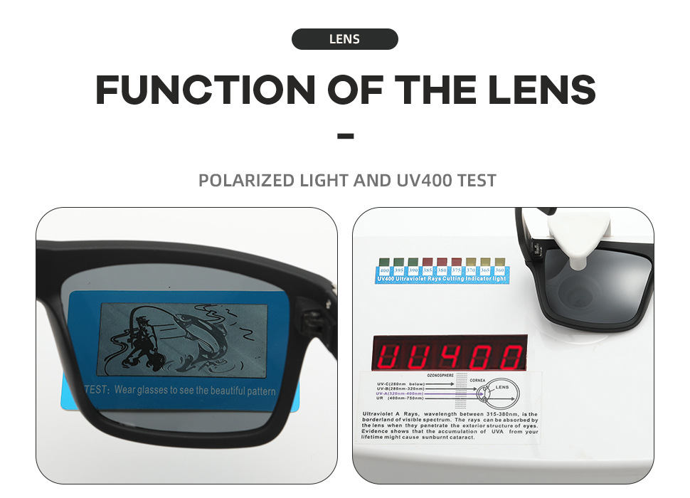 Polarized Sunglasses 6