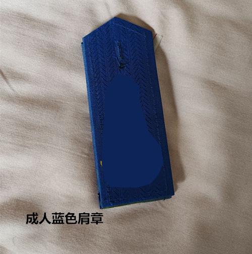 파란색 어깨 배지