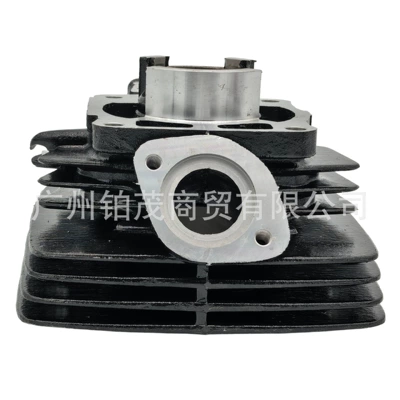 Cylinder Piston Set, Cylinder and parts