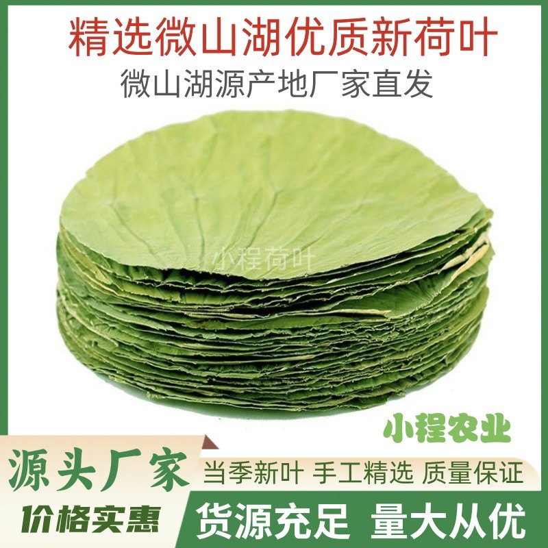 圆形干荷叶商用批发微山湖新鲜荷叶糯米鸡荷叶饭荷叶鸡粽子专用