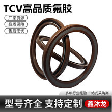 ���zTCV�ͷ�CеҺ���ͷ�O���͸߉��Ǽ��ͷ���܇�����U���z�ܷ��