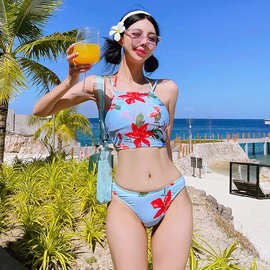 外贸泳衣女2025新款小胸性感聚拢三角分体泡温泉泳装保守遮肚显瘦