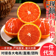 优普正宗秭归血橙中华红心橙子当季新鲜整箱香橙甜橙斤时令水果