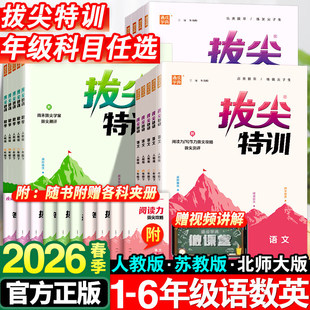 2026���μ���Ӗ�Z�Ĕ��WӢ�Zһ�����������꼉�����˽��K�̱���