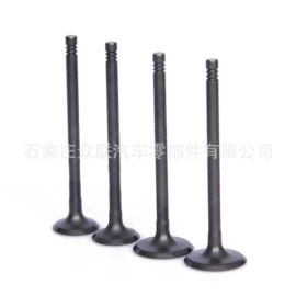 气门及部件;气门部件;油封