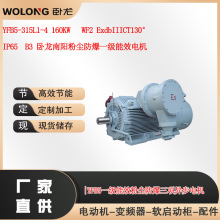 YFB5-315L1-4 160KW   WF2 ExdbIIICT130&deg;������ꖷۉm����늙C