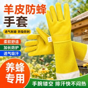 �SƤ�L�W����������Ƥ�����B����Ƥ���U͸����ܛ��ָȫ���C���ԏ�