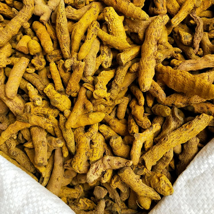 Turmeric Root Jiang Huang 500g Dried Curcuma Longa Rhizome for Tea Decoction and Culinary Use quality and texture
