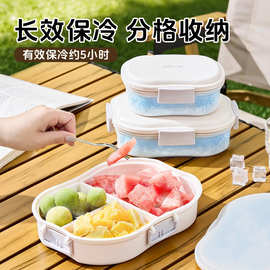 分格餐盒食品级便携水果便当盒户外出游野餐密封盒食品保冷保鲜盒