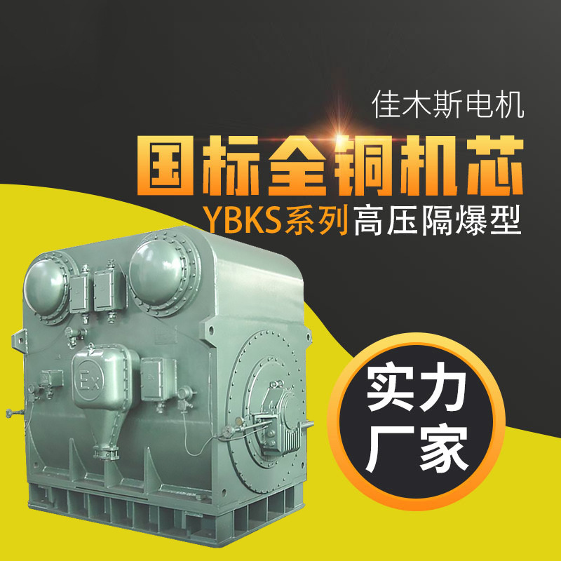 佳木斯电机马达YBKS高压电动机隔爆型三相异步（H560～H710）厂家
