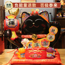 �羳�¿��ɫ�в�è�ڼ��մɺ�è����ǰ̨�в������в�è��������