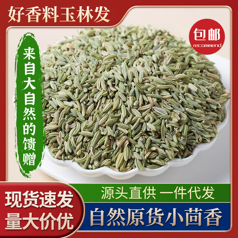 甘肃小茴香批发进口小茴香小茴香籽香料调料炖肉卤味汤品炖羊汤