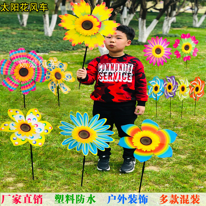 太阳花主图.jpg