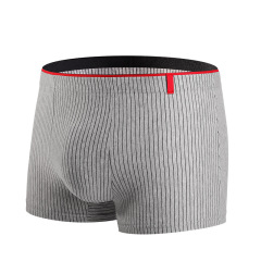 2022 Autumn/Winter New Arrival High-Quality Cotton Percale Men's Underwear Striped Fashion Straight Leg Pants Comfortable Men's Briefs
