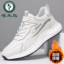 啄木鸟男鞋2025新款百搭运动休闲鞋运动鞋真皮透气潮流跑步潮鞋
