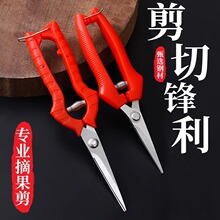 首力采果剪园艺剪葡萄疏花剪修花修枝剪柑橘子花椒采摘摘果剪刀