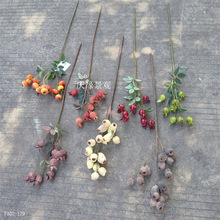 ����{��С�{��õ������ƹ�Ұʯ���С�O�����긣Ͱ�廨��Ĺ�֦