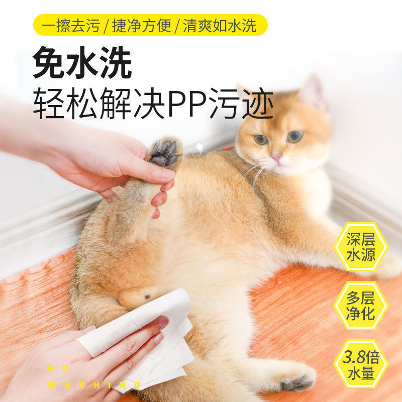 宠物湿巾清洁猫咪狗狗杀菌除臭去泪痕湿纸巾擦脚屁股耳朵下巴免洗|ms
