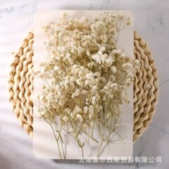 永遠の命のベビーブレスバルクショートブランチクロスボーダーホットセールDIYフラワードライフラワー永遠の命の花工場直送クロスボーダー永遠の命の花