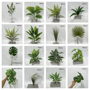 ����ֲ�������~�����~���~�Gֲ�~��ֲ����쾰���ð����~�����l