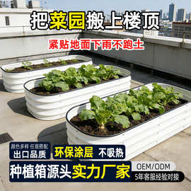 23厘米高出口金属种植箱种菜花果蔬菜植物箱花园田园户外花箱楼顶