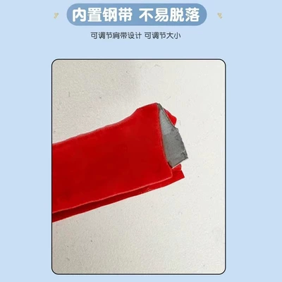 Other Electric Vehicle Accessories: Strip Universal Windshield Modification
